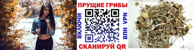 blacksprut зеркало  Валдай  Галлюциногенные грибы мухоморы 